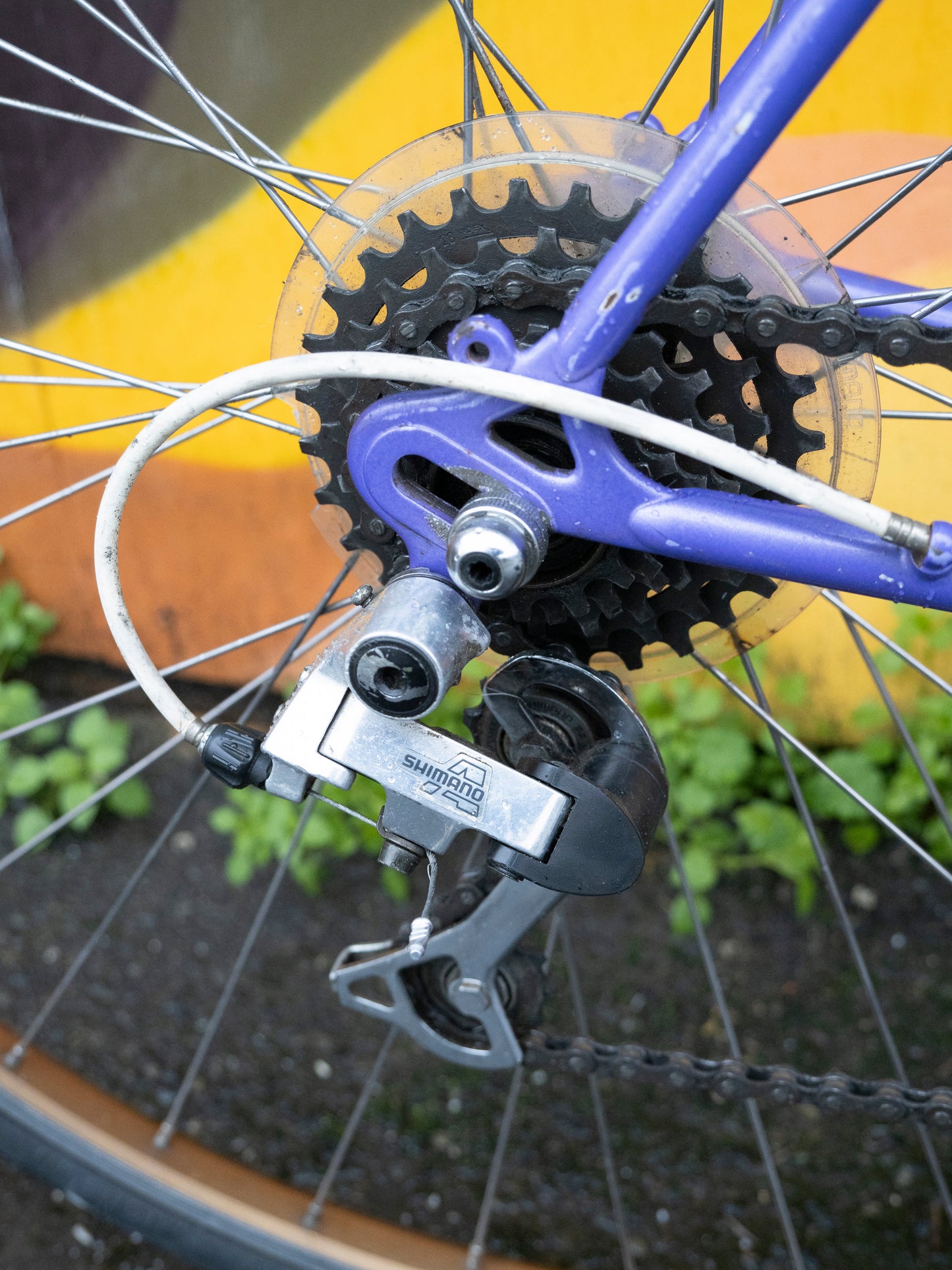 Nishiki Olympic 12 Vintage Road Bike - Purpe- 49 cm/XS frame