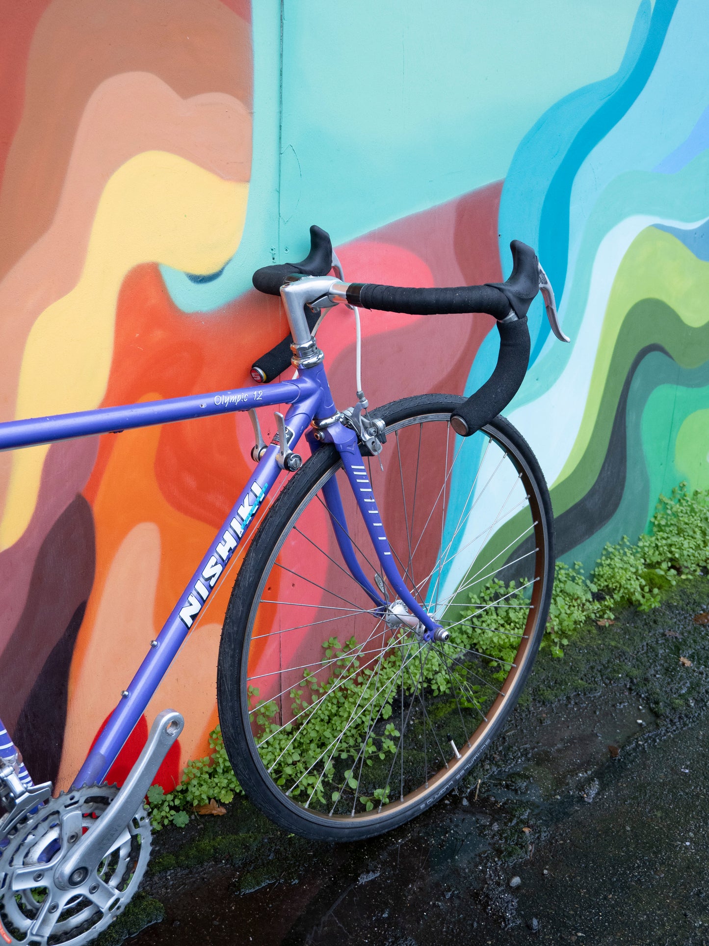 Nishiki Olympic 12 Vintage Road Bike - Purpe- 49 cm/XS frame
