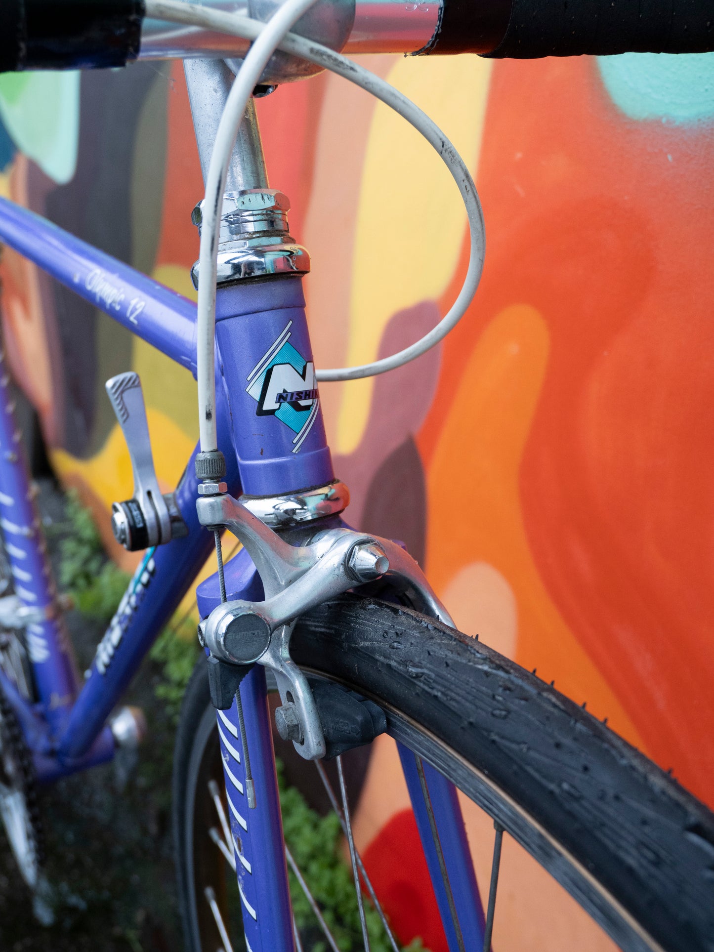 Nishiki Olympic 12 Vintage Road Bike - Purpe- 49 cm/XS frame