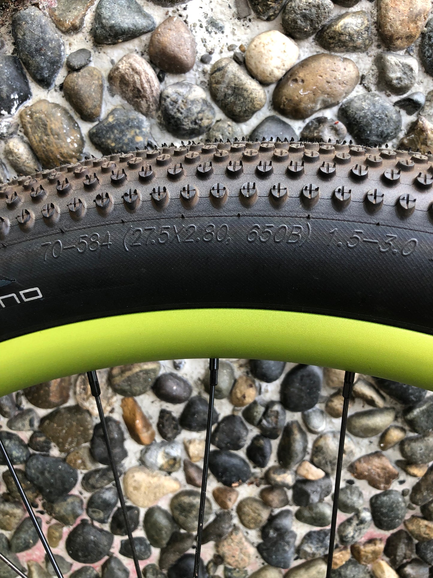 Ritchey Commando Fat Bike, XL, Green