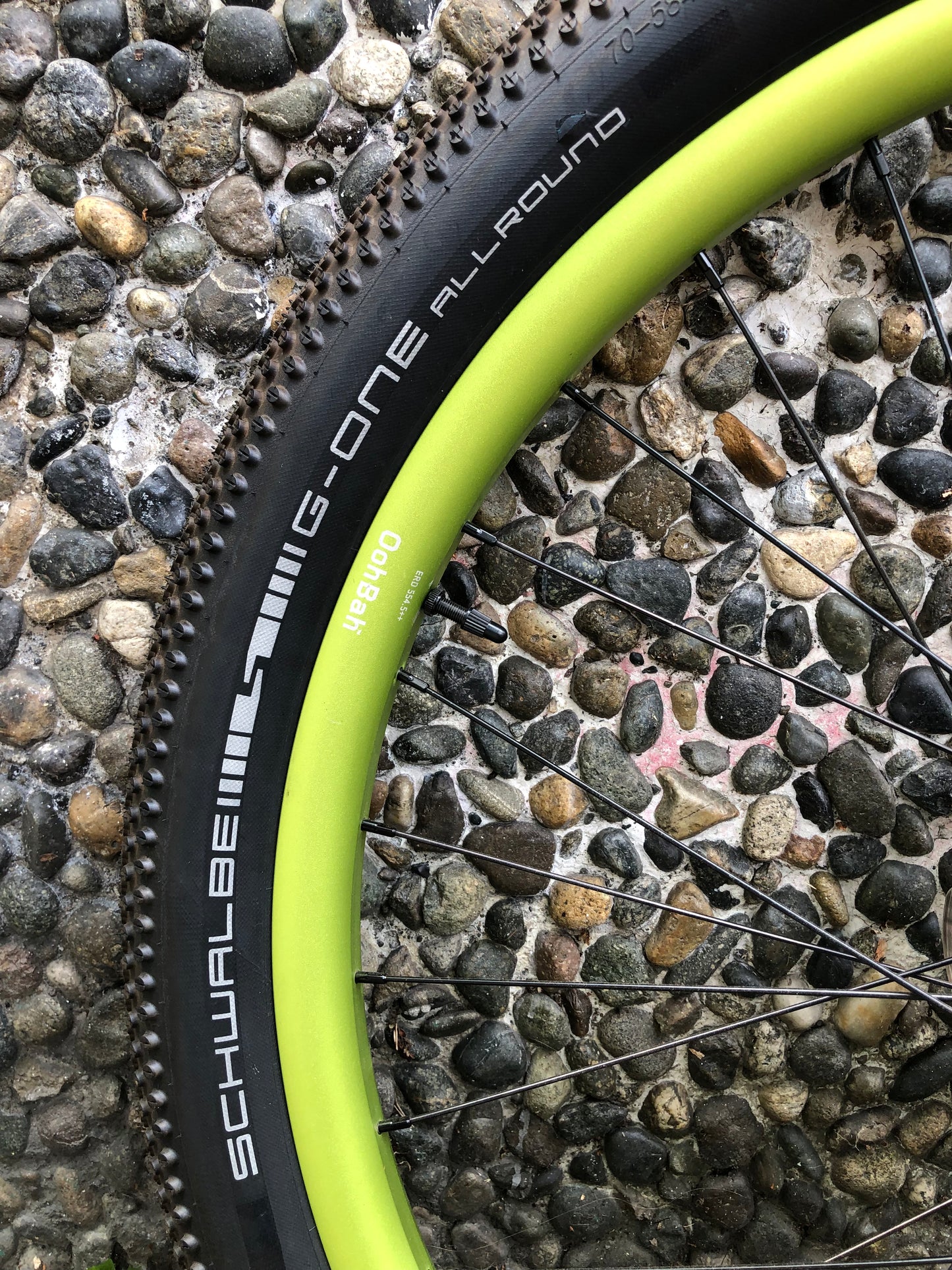 Ritchey Commando Fat Bike, XL, Green