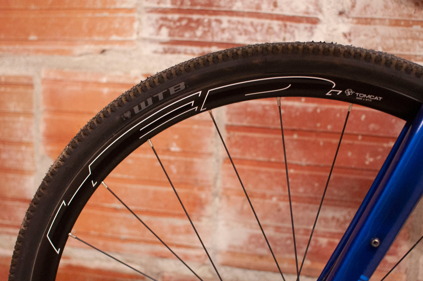 Diamondback Haanjo 7C Carbon Adventure Bike, Blue, MD