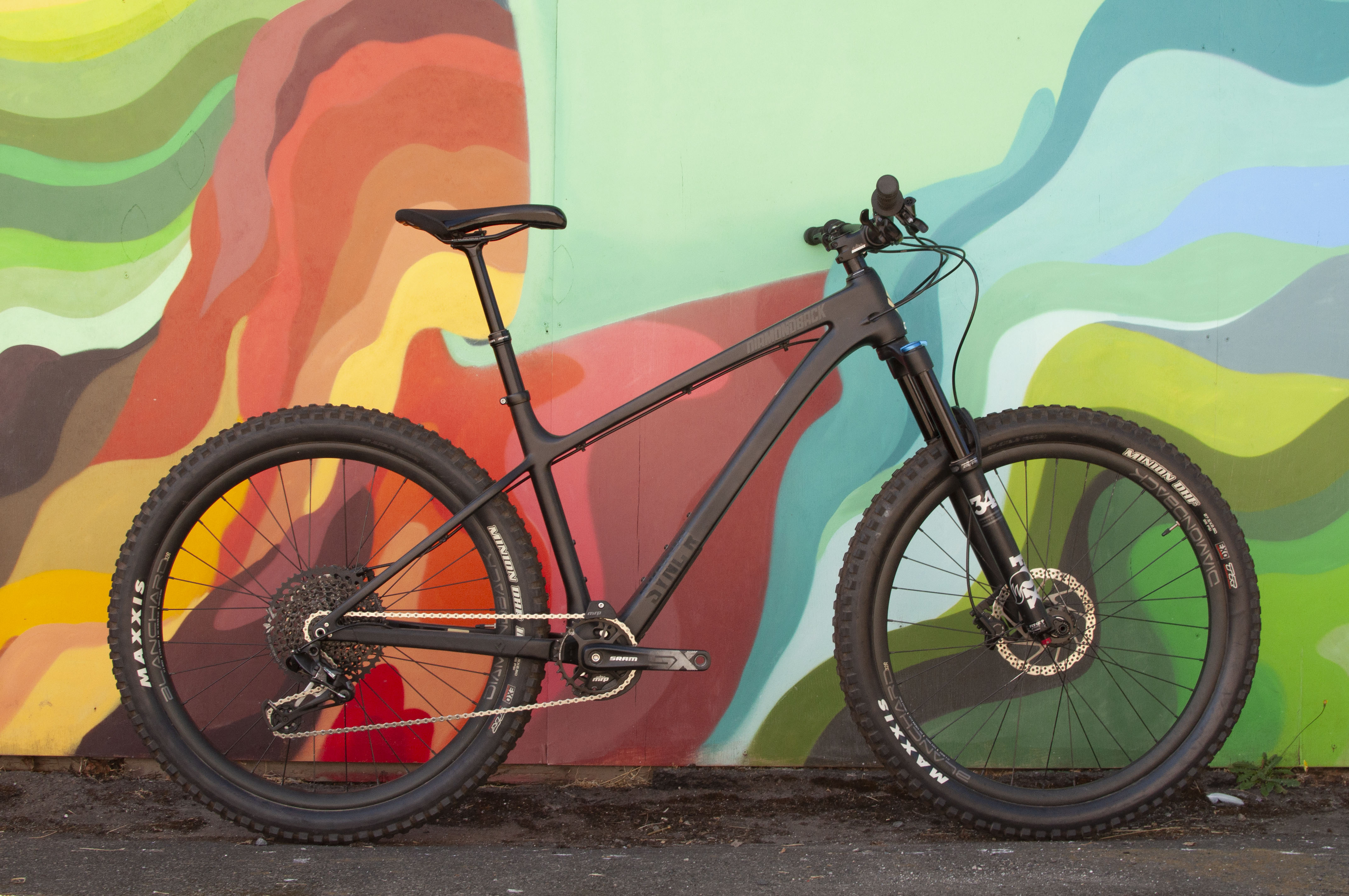 Diamondback Sync'r Carbon 29 Hardtail Mountain Bike, Black, M