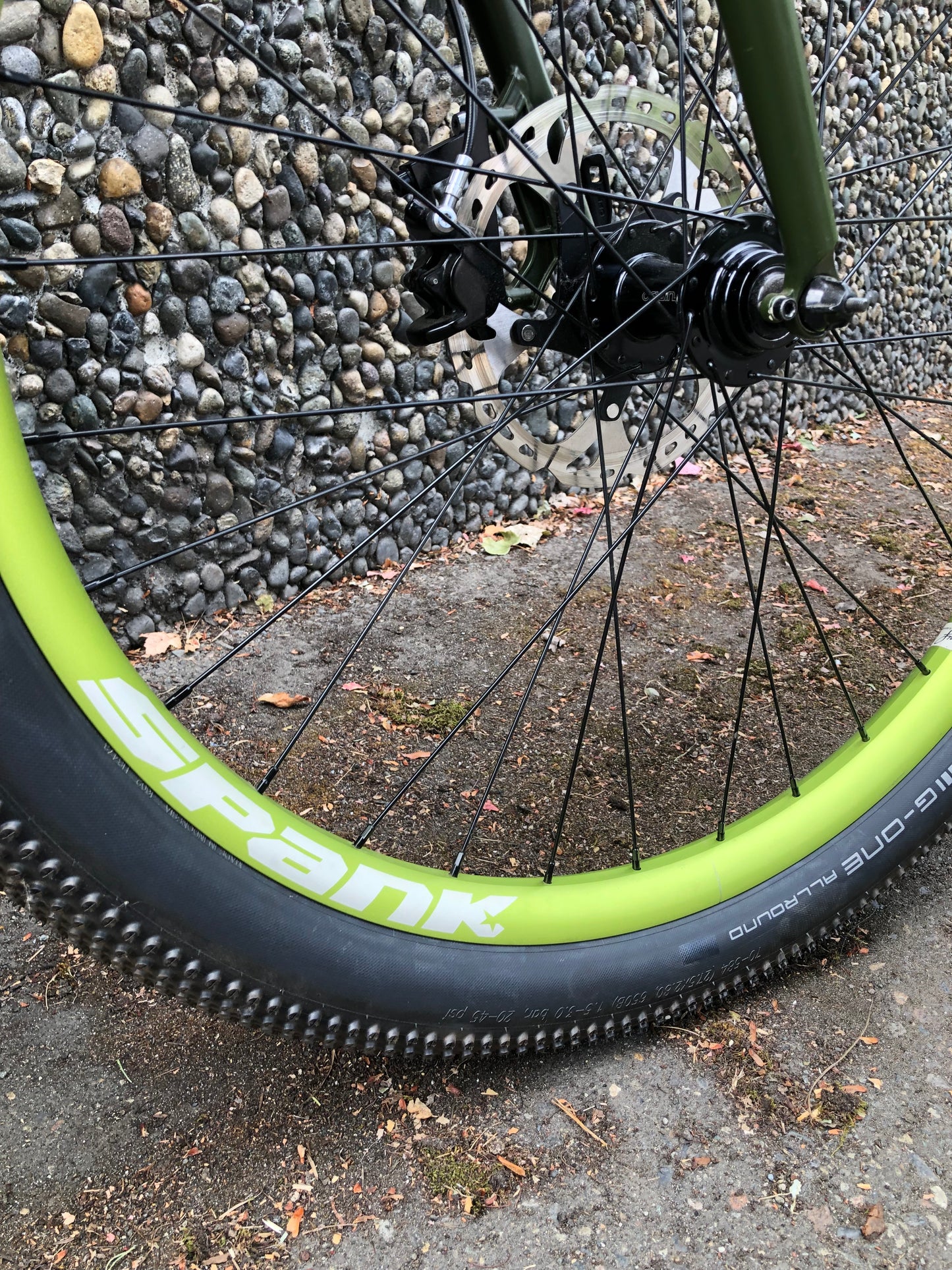 Ritchey Commando Fat Bike, XL, Green