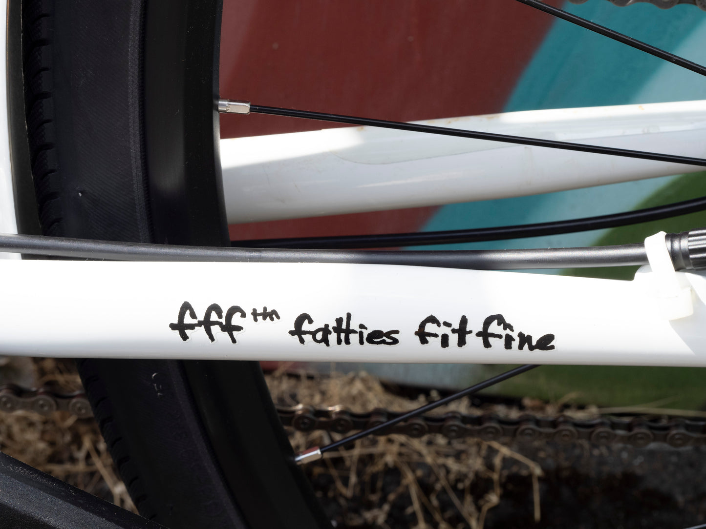 Surly Preamble Drop Bar Bike, Thorfrost White, Medium - Test ride bike