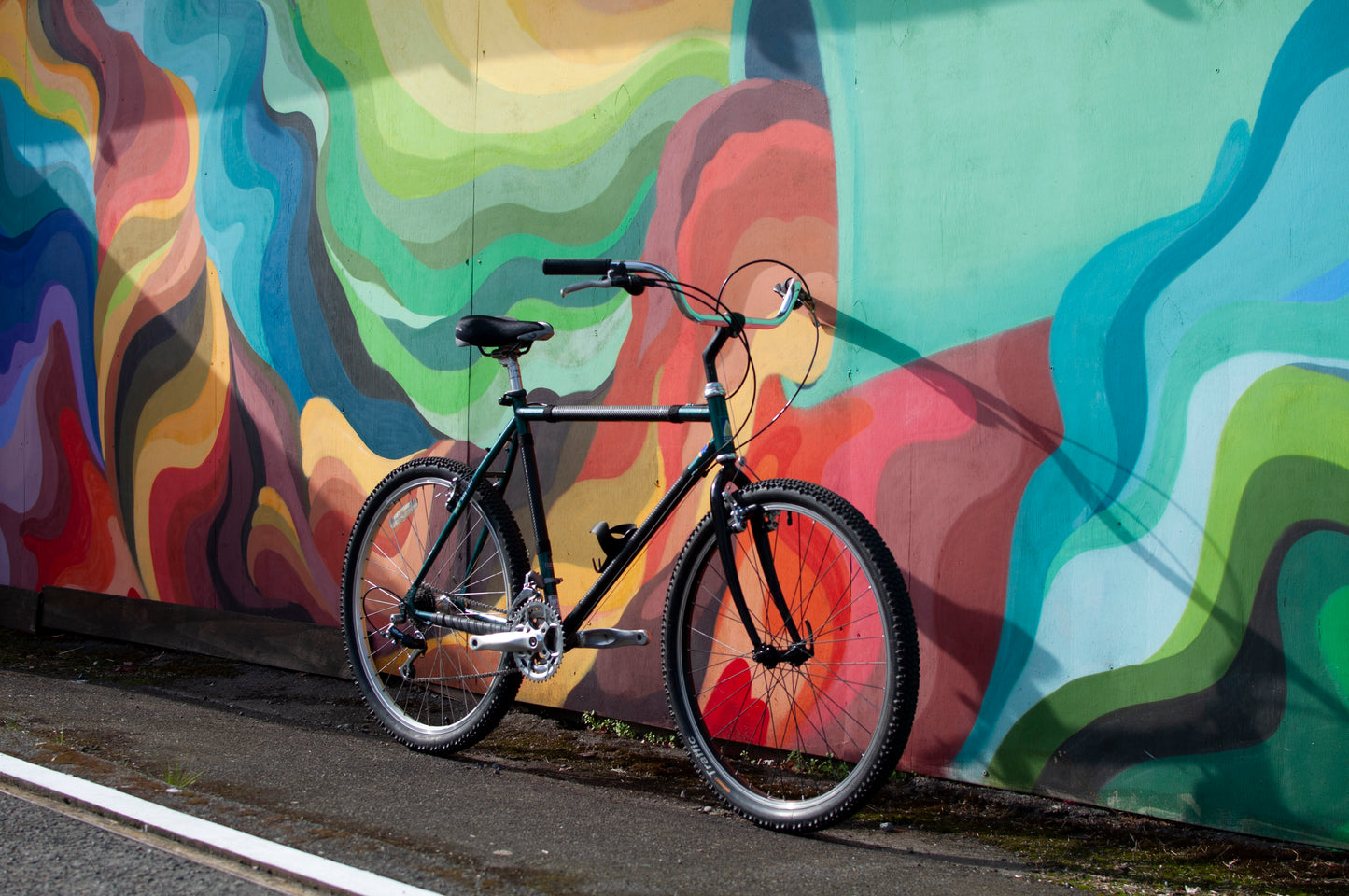 1994 Giant All Terrain Cruiser Bike, Green & Black, 50cm/Medium