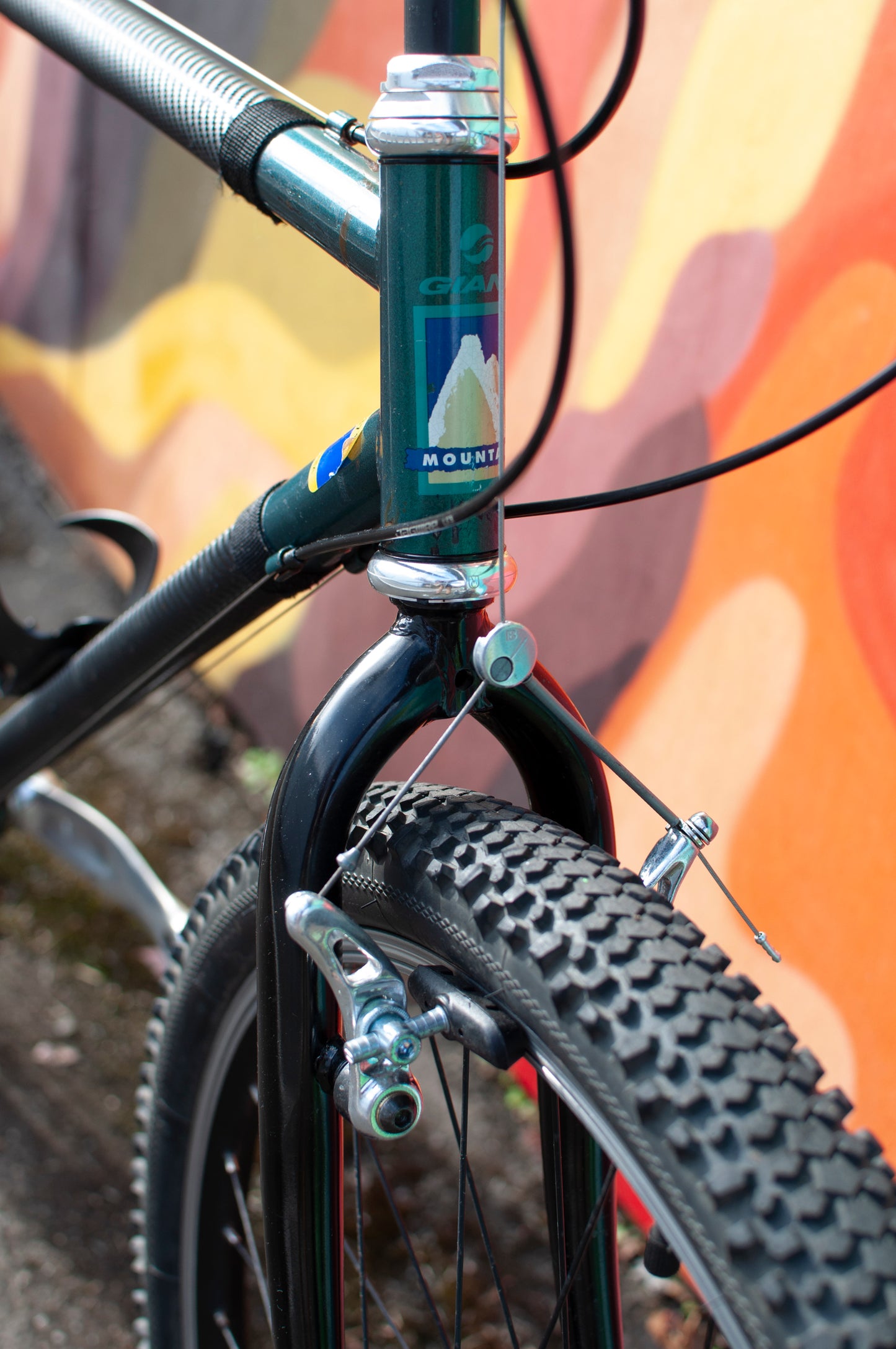 1994 Giant All Terrain Cruiser Bike, Green & Black, 50cm/Medium