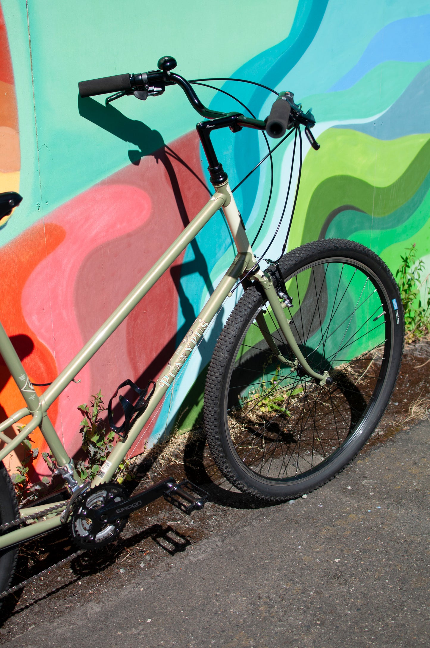 2024 Rivendell Platypus, Sergio Green, 60cm custom build