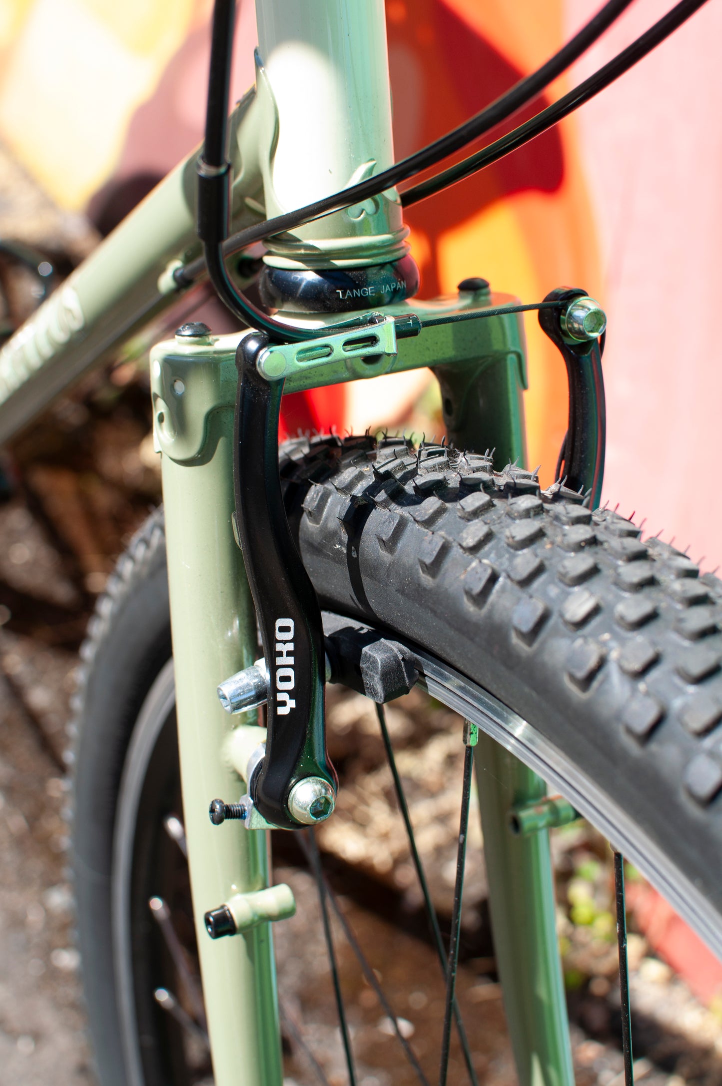2024 Rivendell Platypus, Sergio Green, 60cm custom build