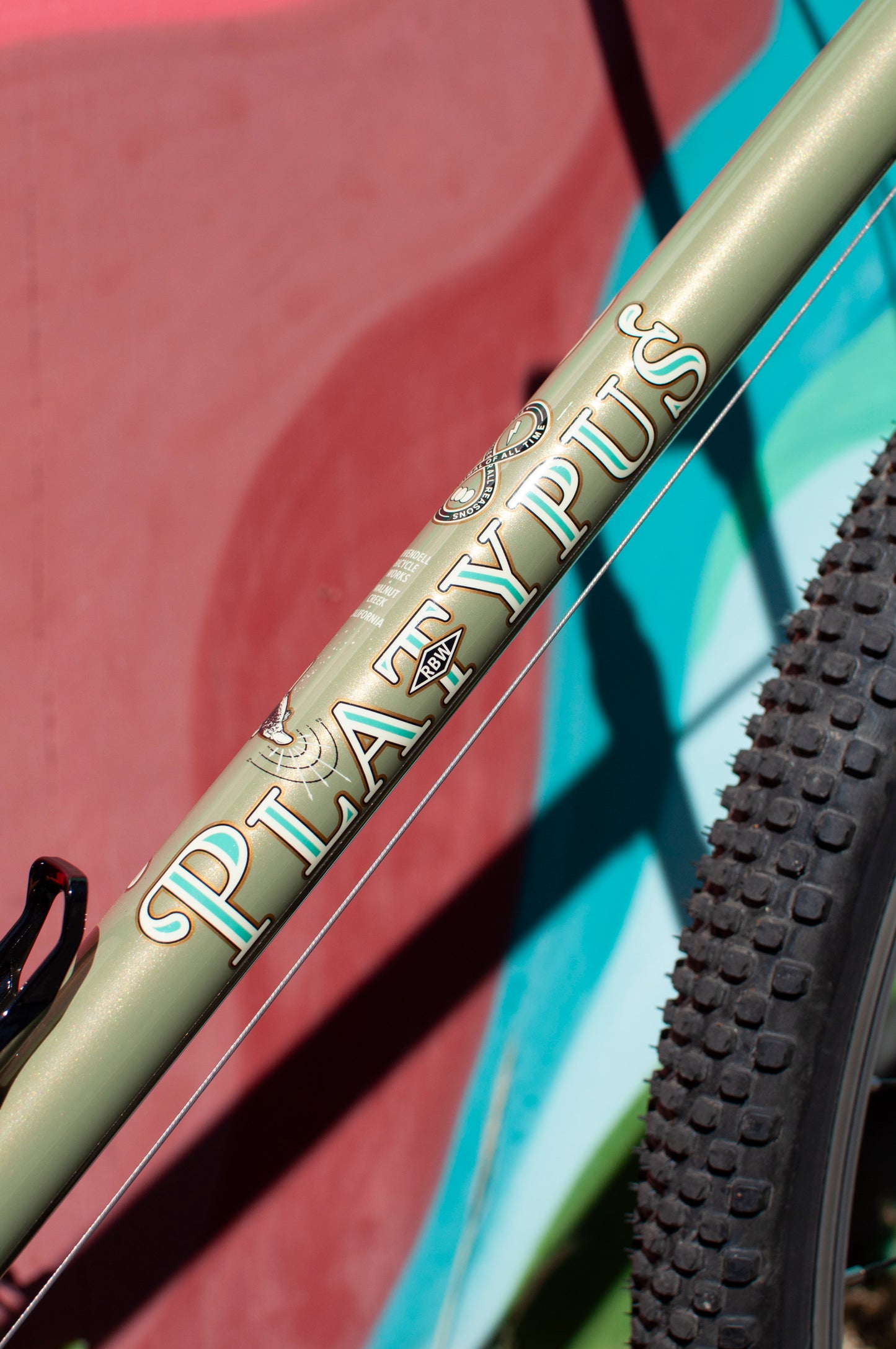 2024 Rivendell Platypus, Sergio Green, 60cm custom build