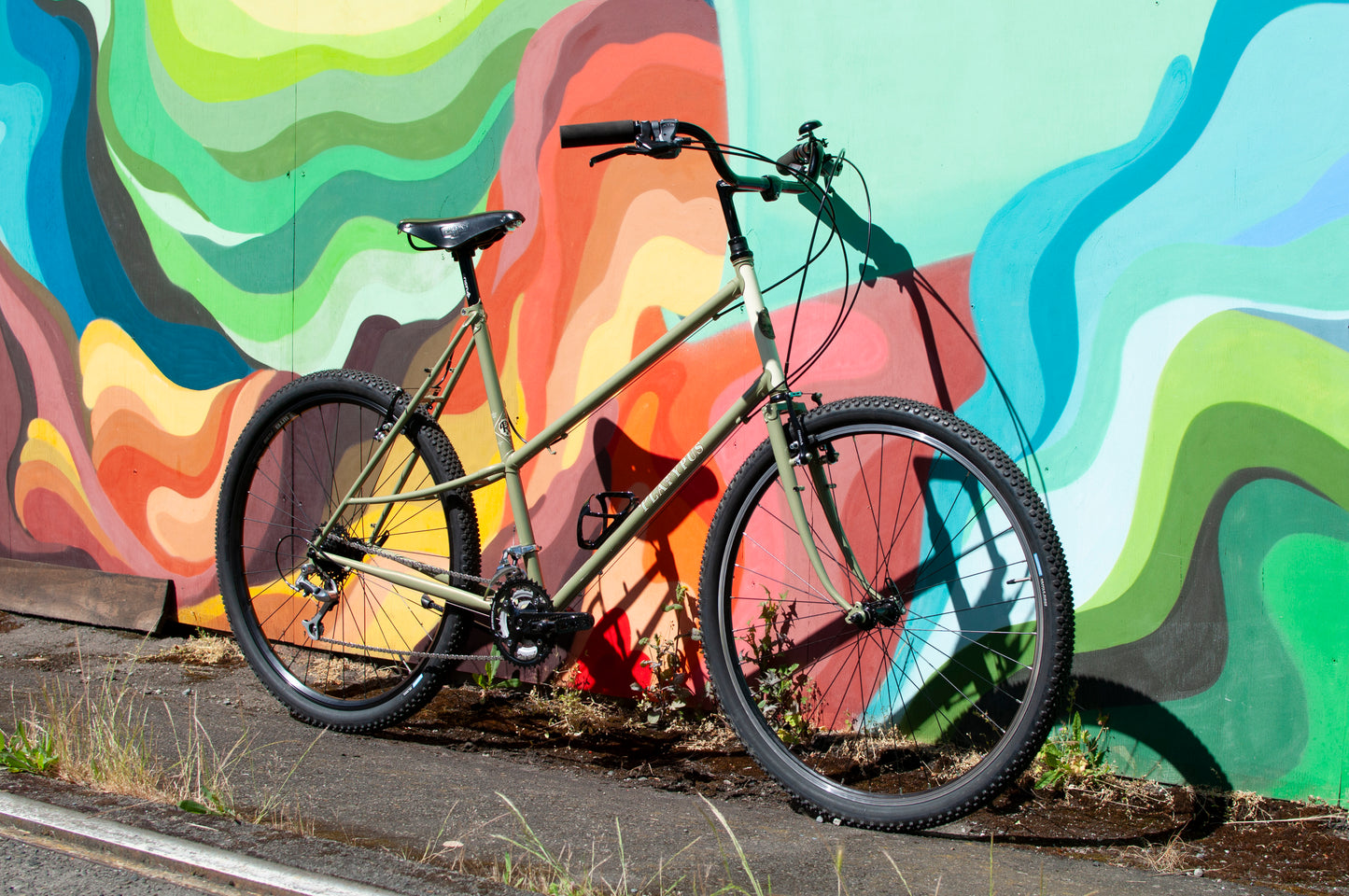 2024 Rivendell Platypus, Sergio Green, 60cm custom build