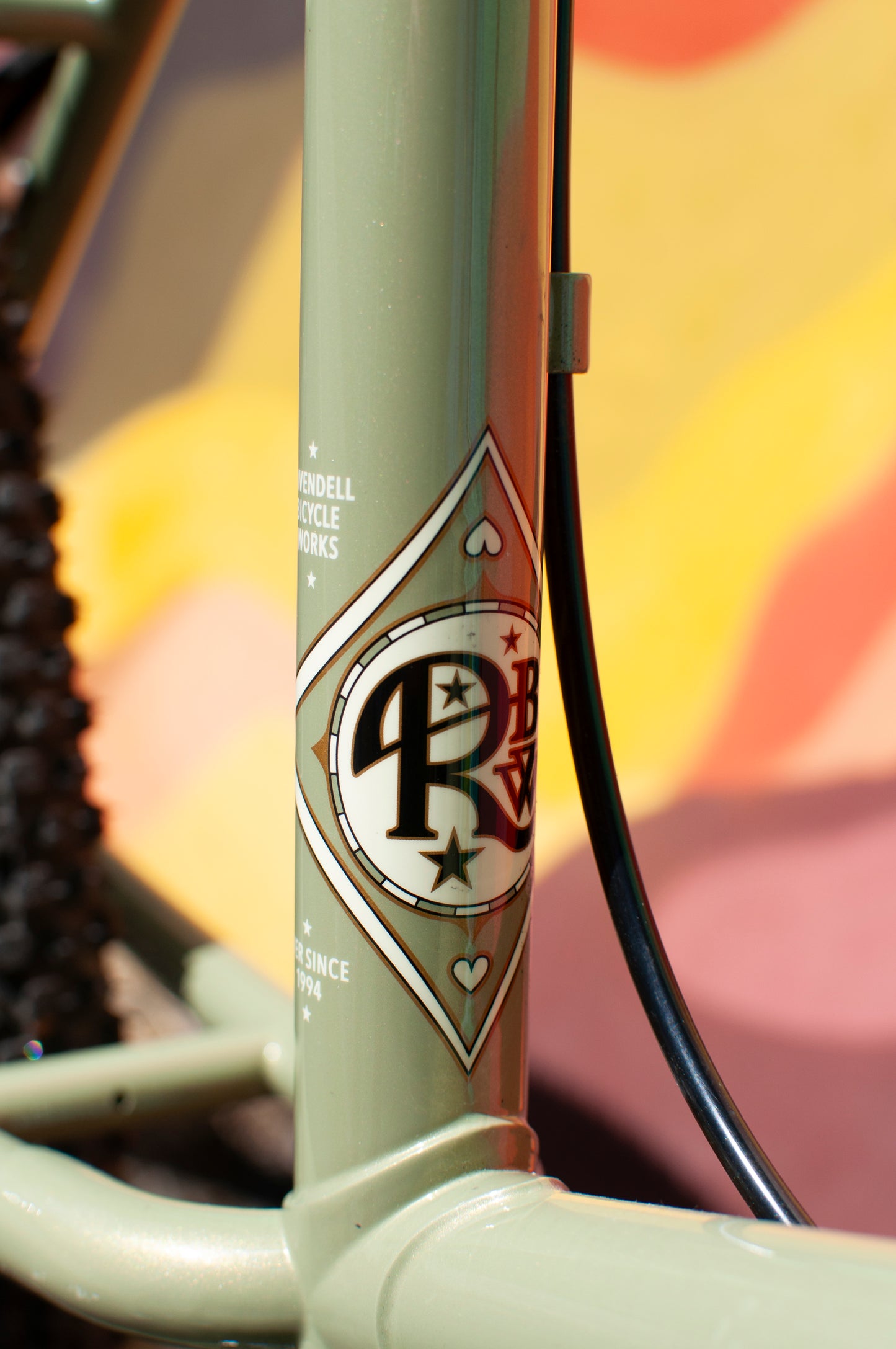 2024 Rivendell Platypus, Sergio Green, 60cm custom build