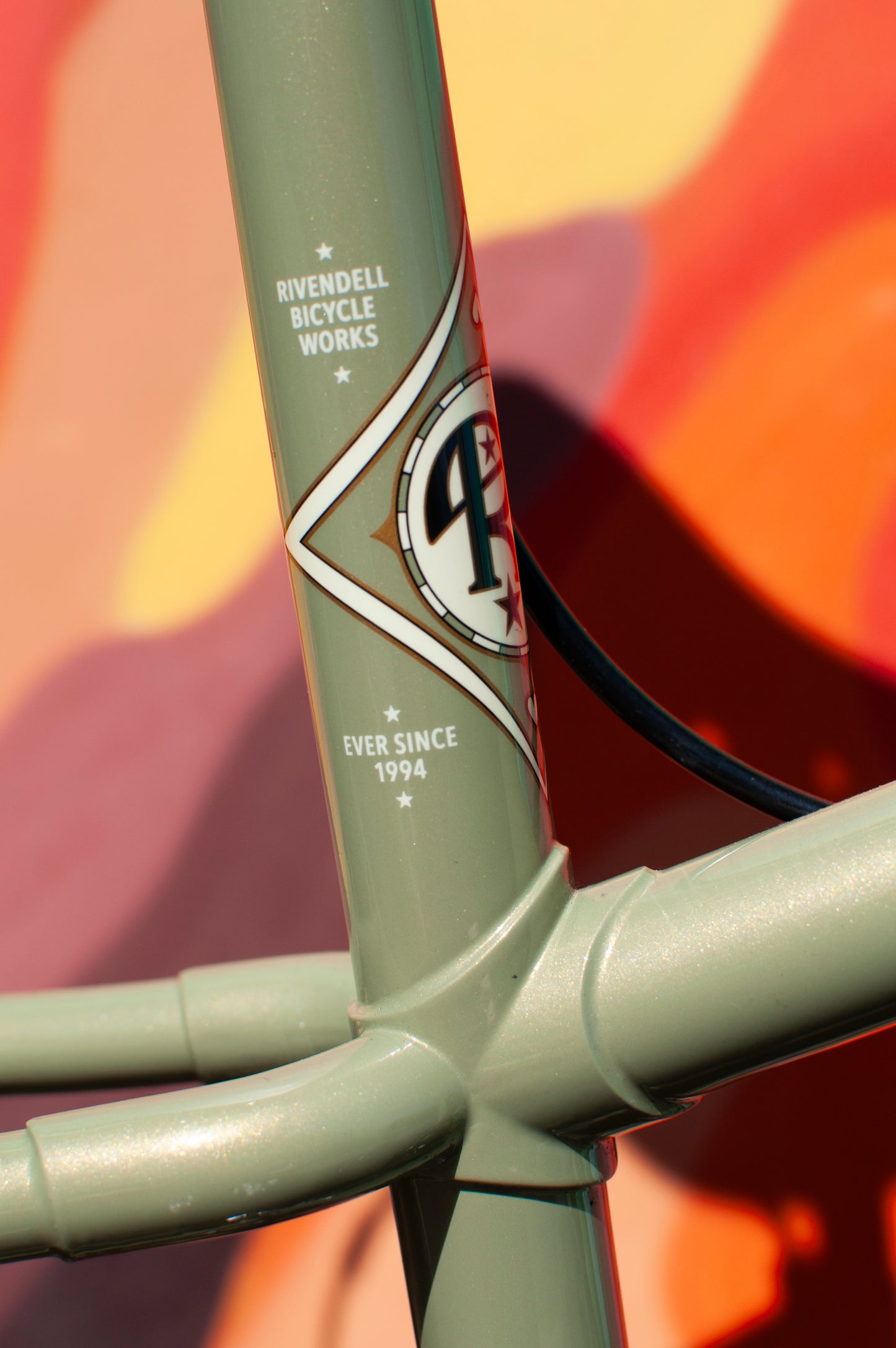 2024 Rivendell Platypus, Sergio Green, 60cm custom build