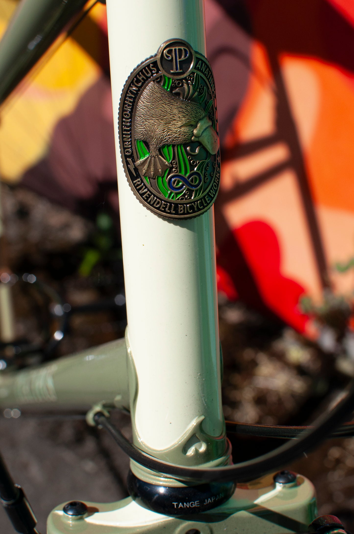 2024 Rivendell Platypus, Sergio Green, 60cm custom build