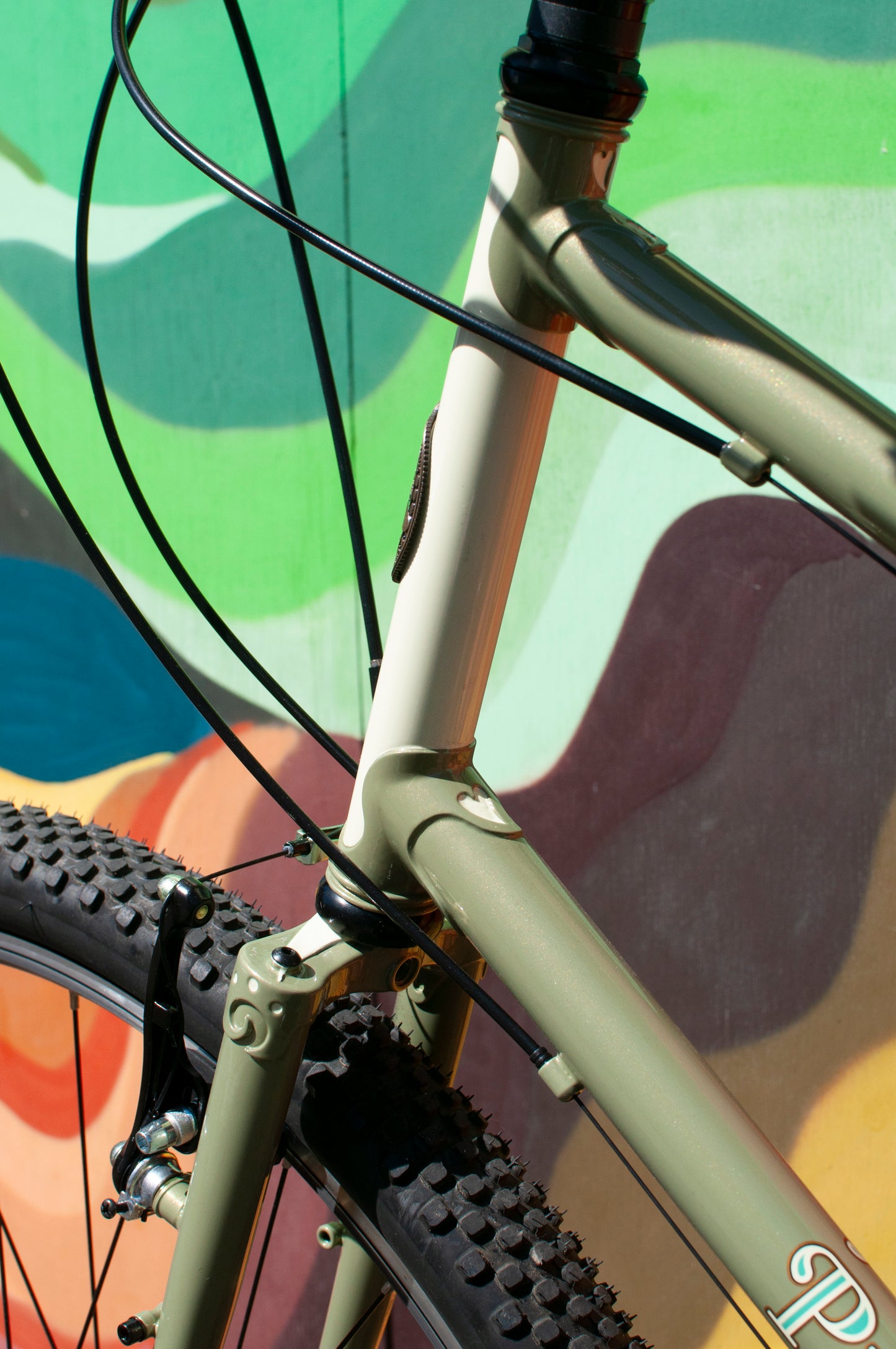2024 Rivendell Platypus, Sergio Green, 60cm custom build