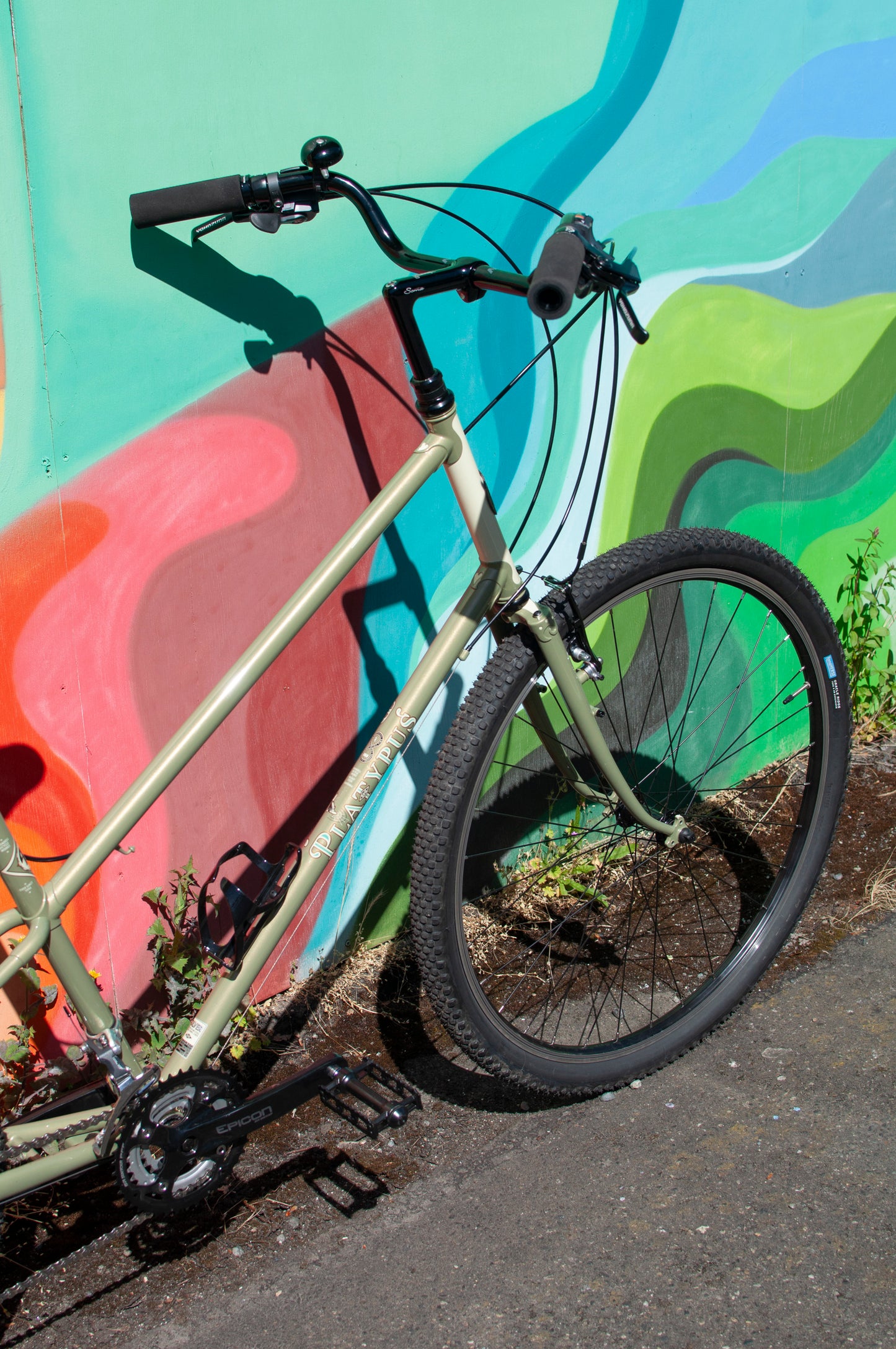 2024 Rivendell Platypus, Sergio Green, 60cm custom build