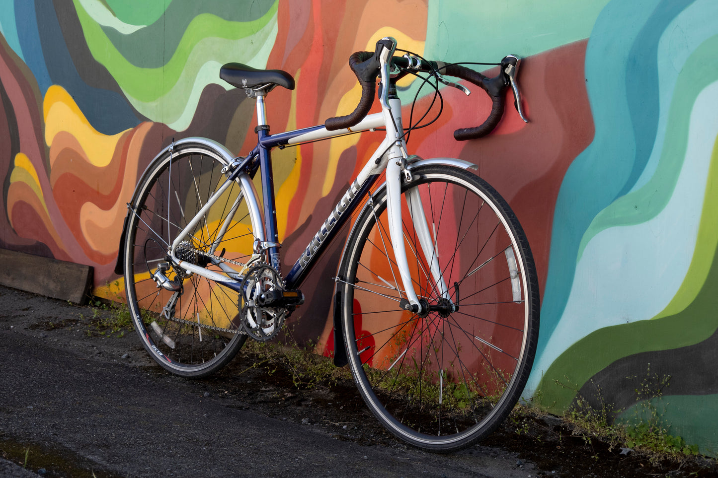 Raleigh Cadent 2.0 road bike, commuter build, blue & white, 47cm small