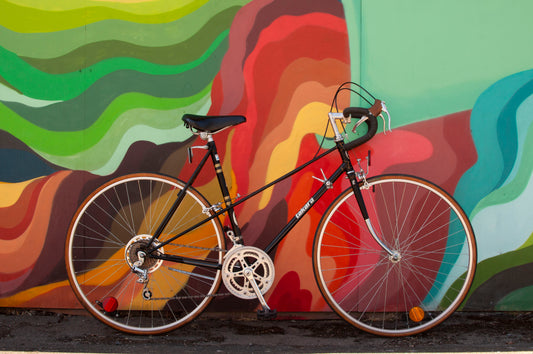 Takara Mixte Vintage Road Bike, Black, 19 in