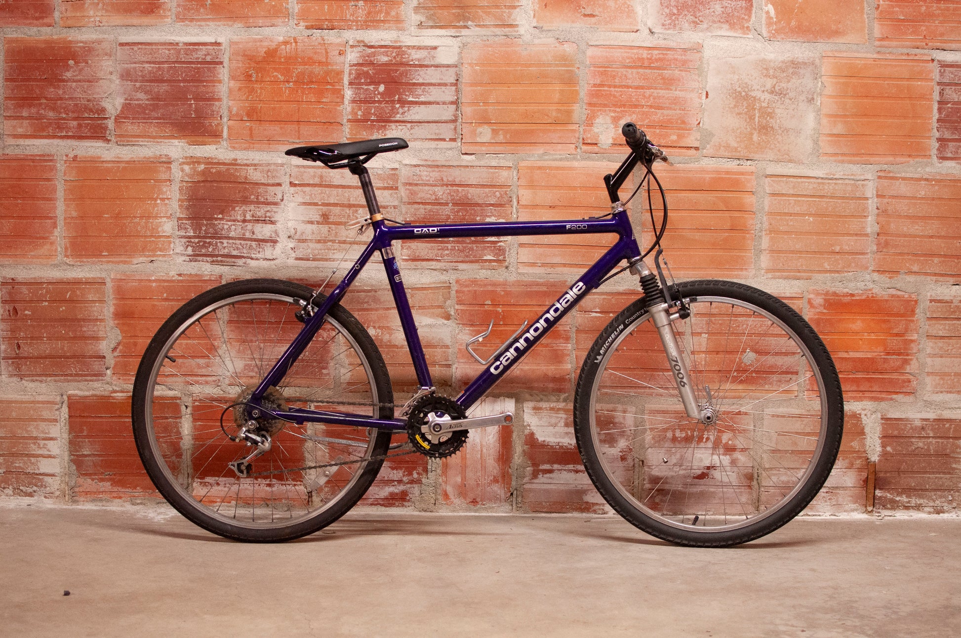 purple cannondale mountain bike