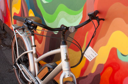 Raleigh Retroglide E-Bike, Silver, 46cm