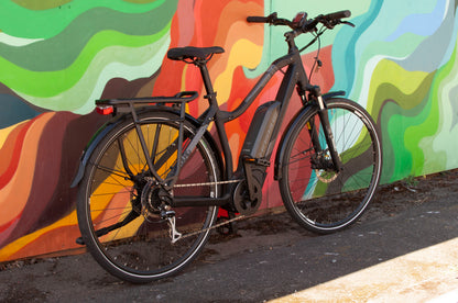 Haibike Sduro Trekking 1.0 E-Bike, Black, Small