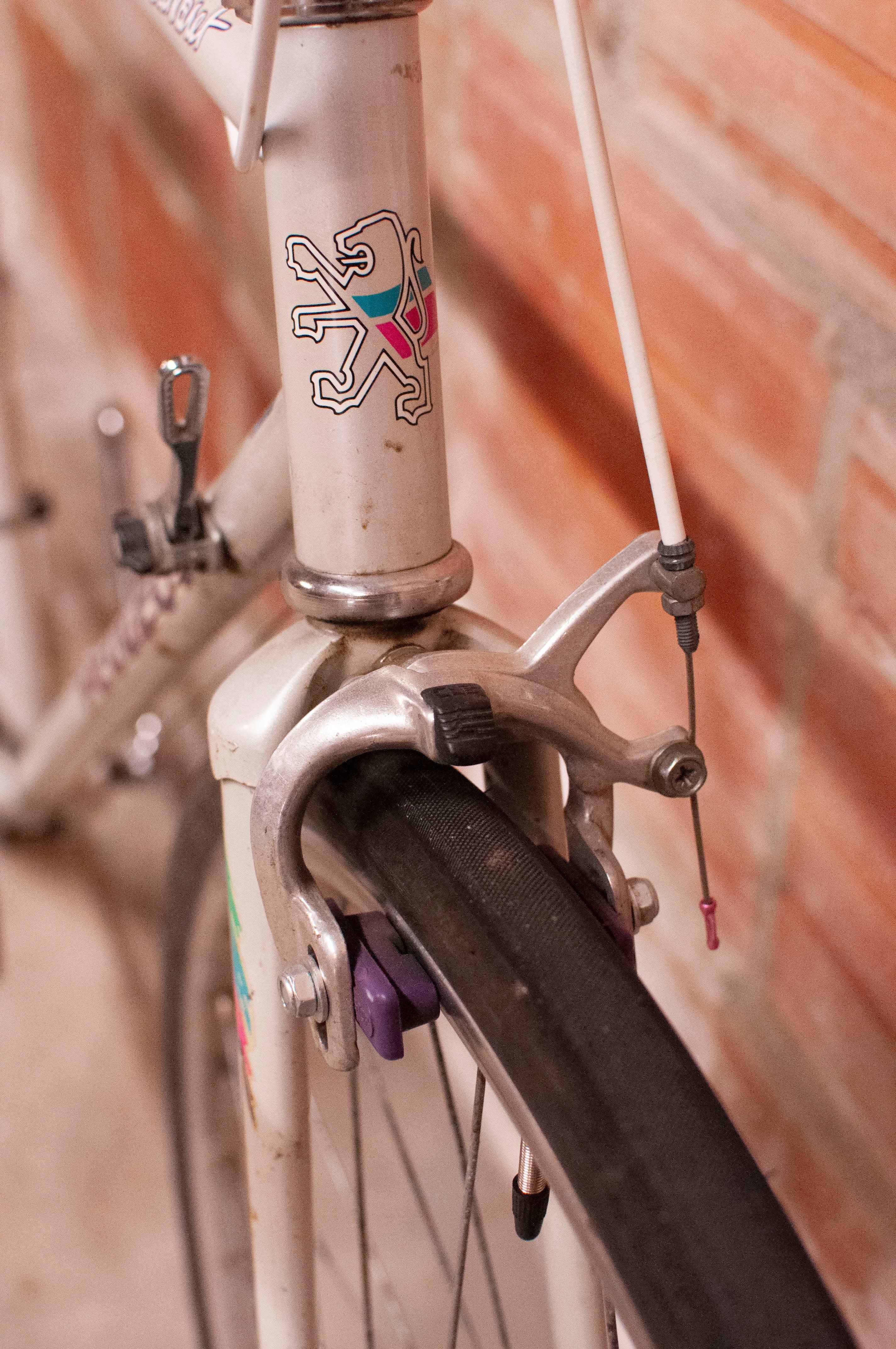 53cm road bike frame best sale