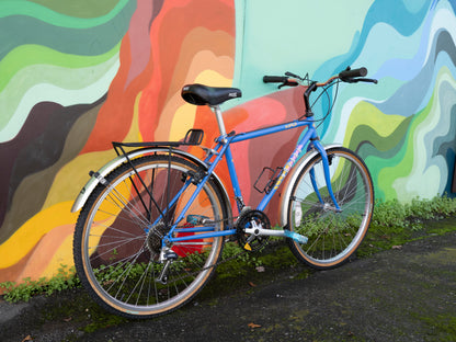 Novara Aspen 90's Rigid MTB - 17in/43cm/Small
