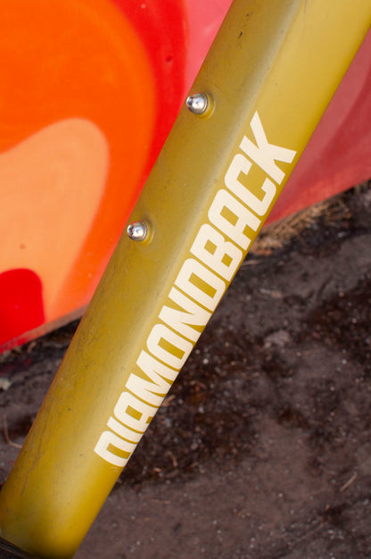 Diamondback Line Hard Tail Mountain Bike, Green, MD