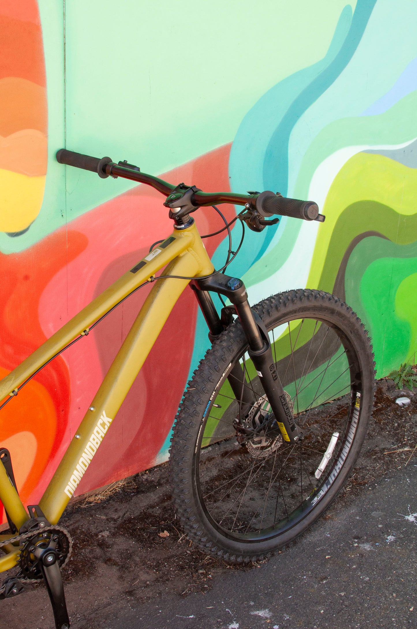 Diamondback Line Hard Tail Mountain Bike, Green, MD