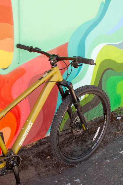 Diamondback Line Hard Tail Mountain Bike, Green, MD