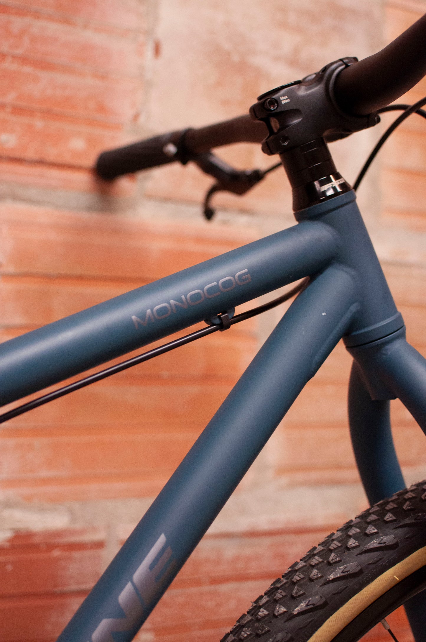 Redline Monocog - Steel Single-Speed 29er BMX Bike