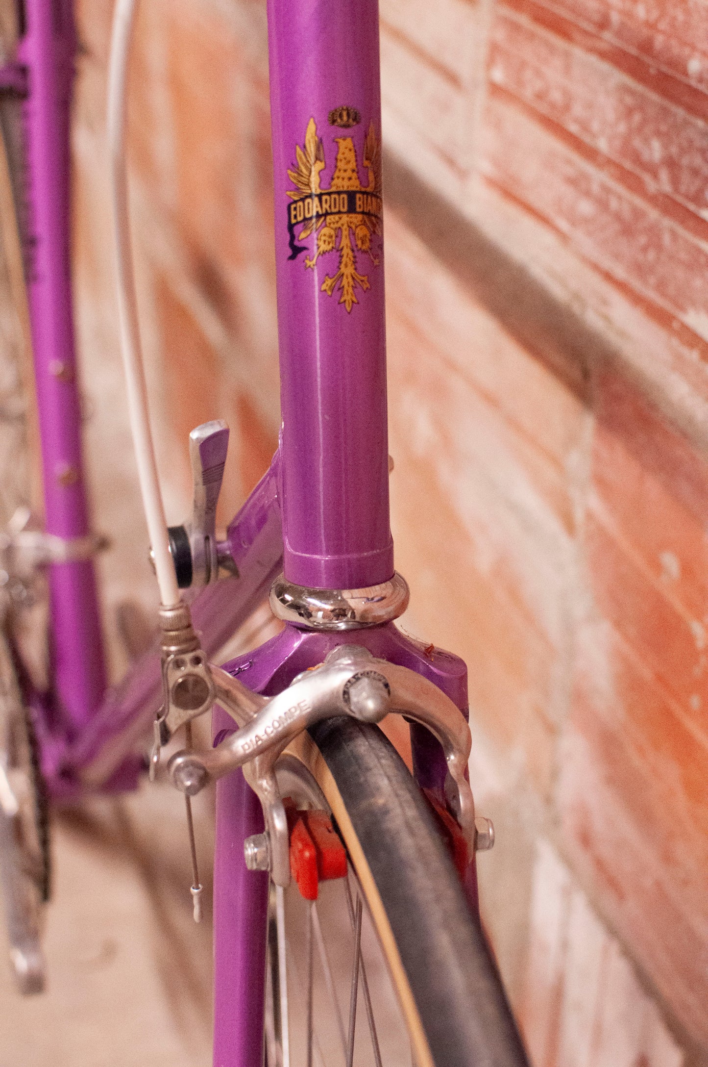 Bianchi Vintage Road Bike - 62 cm frame - purple