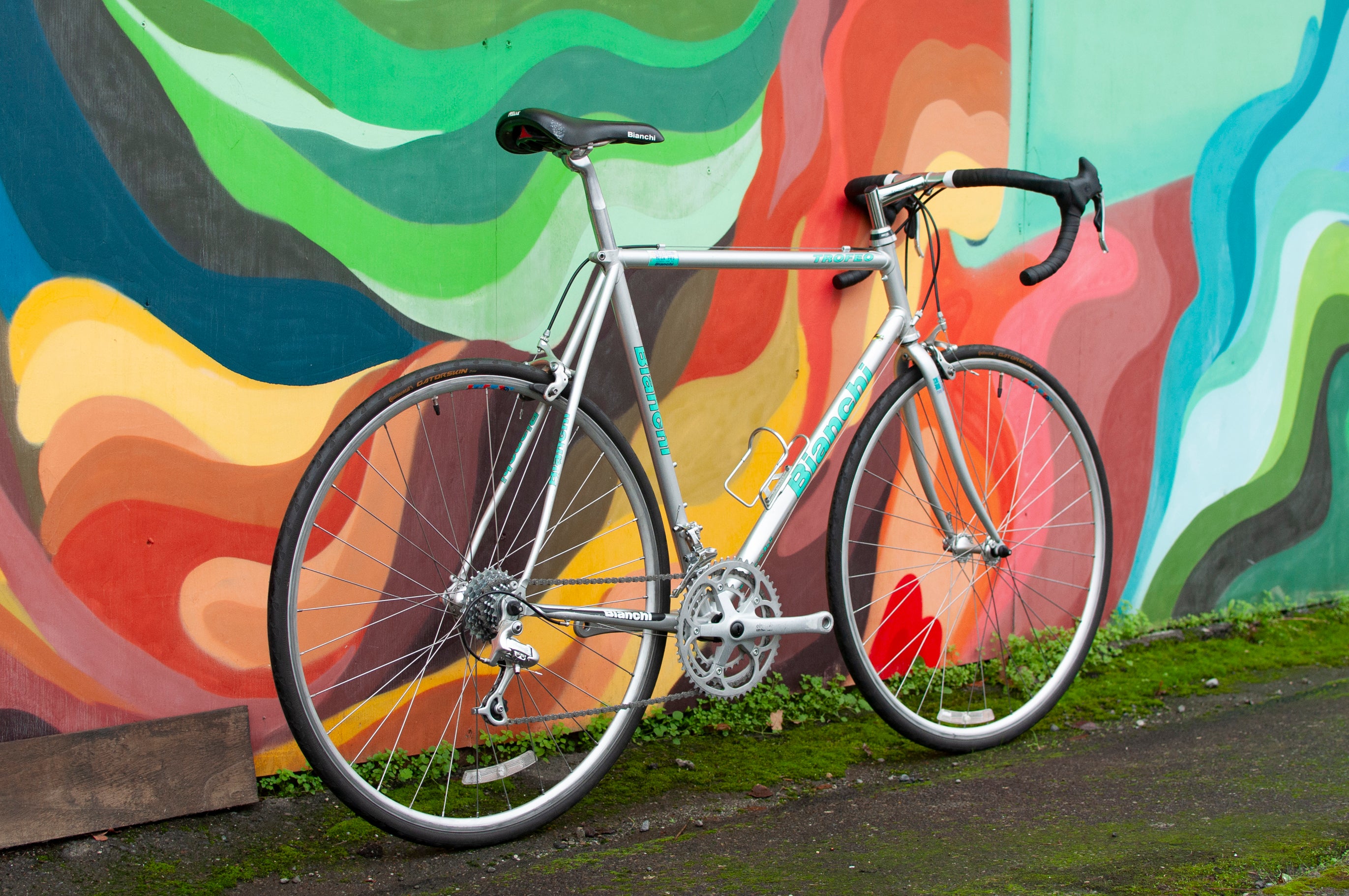 1998 Bianchi Trofeo Road Bike with Campagnolo, Silver & Céleste
