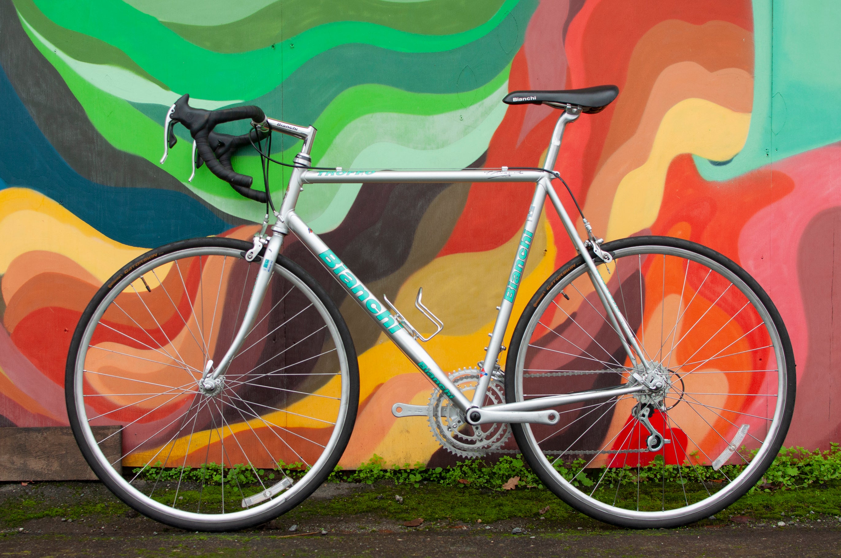 1998 Bianchi Trofeo Road Bike with Campagnolo, Silver & Céleste