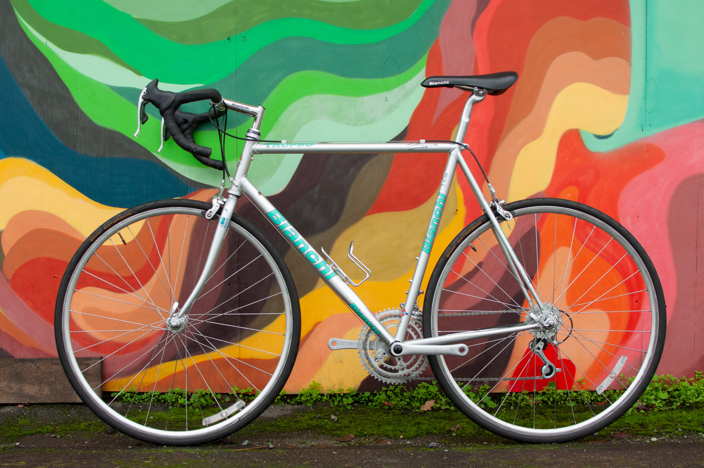 1998 Bianchi Trofeo Road Bike with Campagnolo, Silver & Céleste Green 57cm/Large