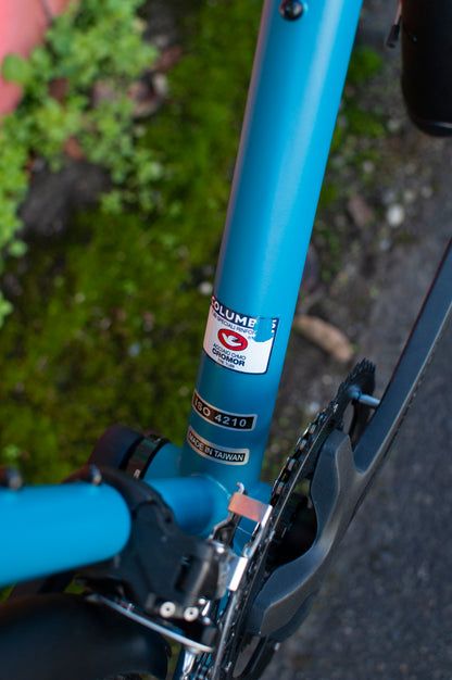 Cinelli Hobooleg Interrail - Shimano Deore 2x, Emerald Pathway, Large