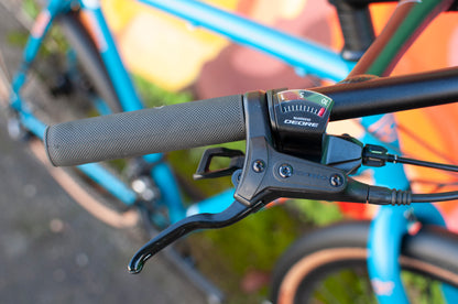 Cinelli Hobooleg Interrail - Shimano Deore 2x, Emerald Pathway, Large