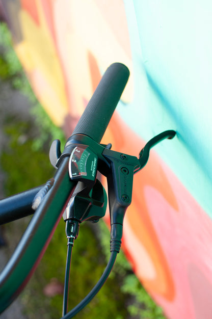Cinelli Hobooleg Interrail - Shimano Deore 2x, Emerald Pathway, Large