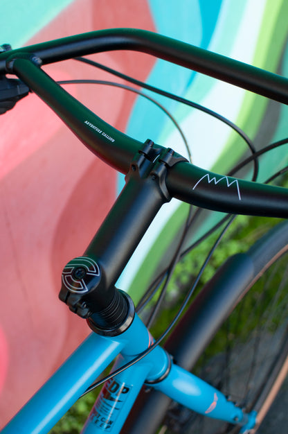 Cinelli Hobooleg Interrail - Shimano Deore 2x, Emerald Pathway, Large