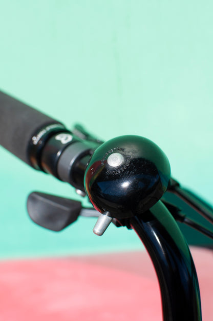 2024 Rivendell Platypus, Sergio Green, 60cm custom build