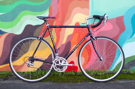 Lemond Reno Vintage Steel Road Bike, made in USA, Purple & Yellow, 58cm LG