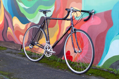 Lemond Reno Vintage Steel Road Bike, made in USA, Purple & Yellow, 58cm LG