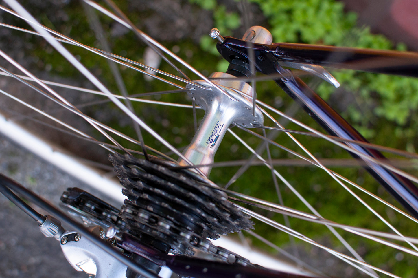 Lemond Reno Vintage Steel Road Bike, made in USA, Purple & Yellow, 58cm LG