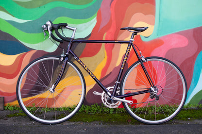 Lemond Reno Vintage Steel Road Bike, made in USA, Purple & Yellow, 58cm LG