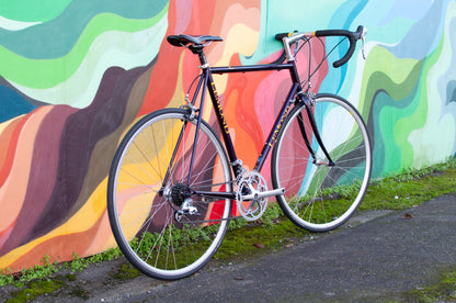Lemond Reno Vintage Steel Road Bike, made in USA, Purple & Yellow, 58cm LG