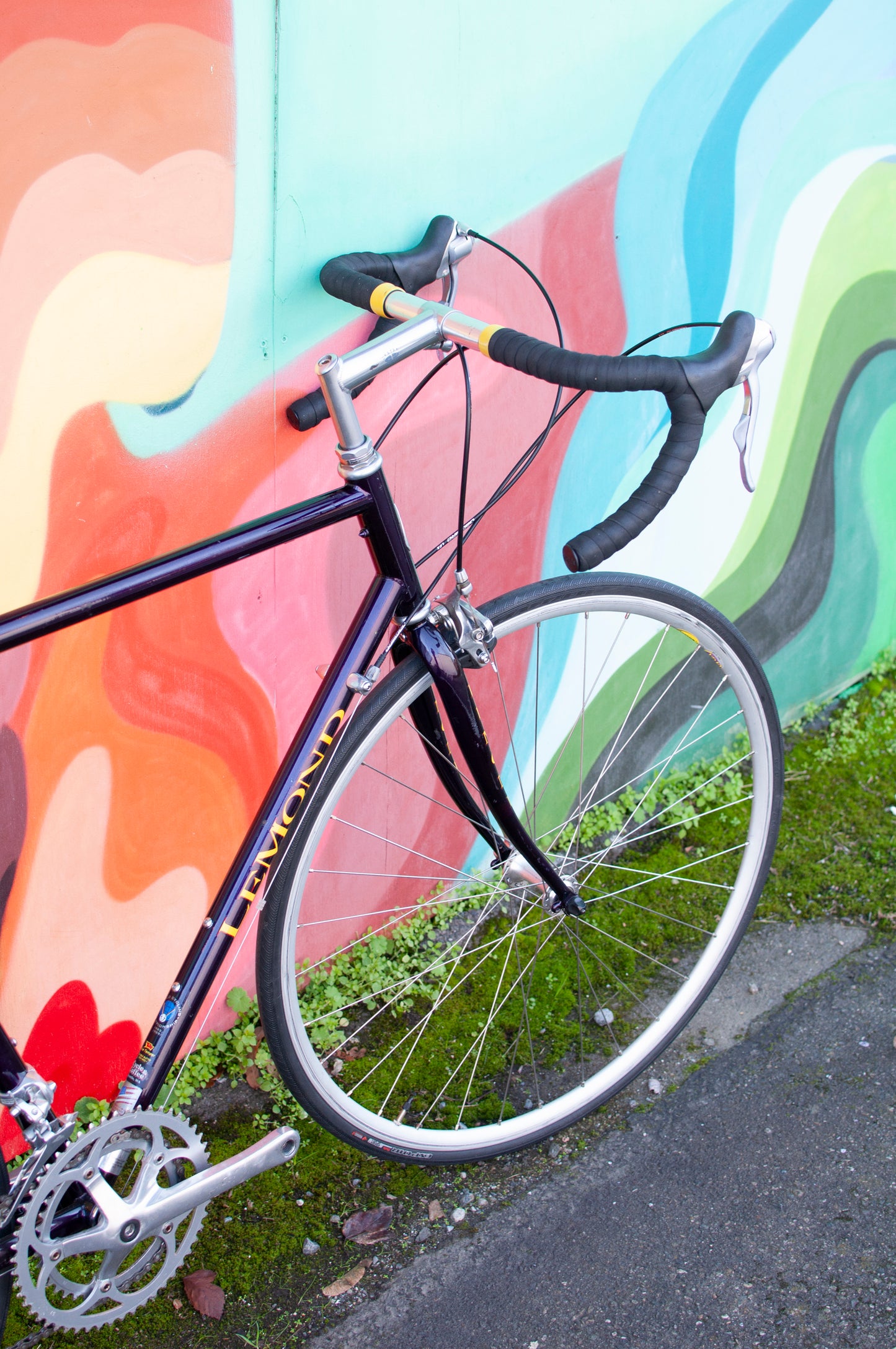 Lemond Reno Vintage Steel Road Bike, made in USA, Purple & Yellow, 58cm LG