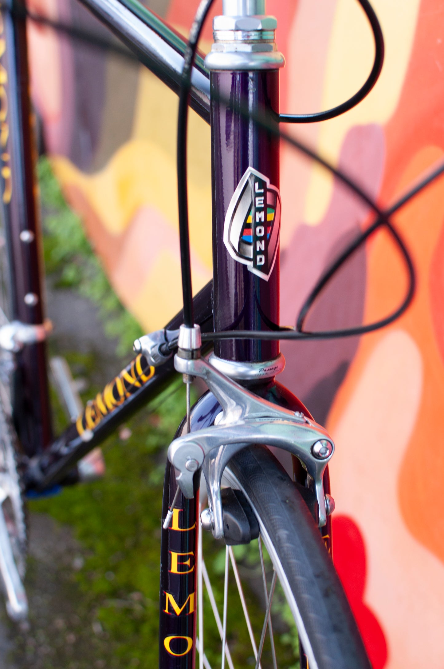 Lemond Reno Vintage Steel Road Bike, made in USA, Purple & Yellow, 58cm LG