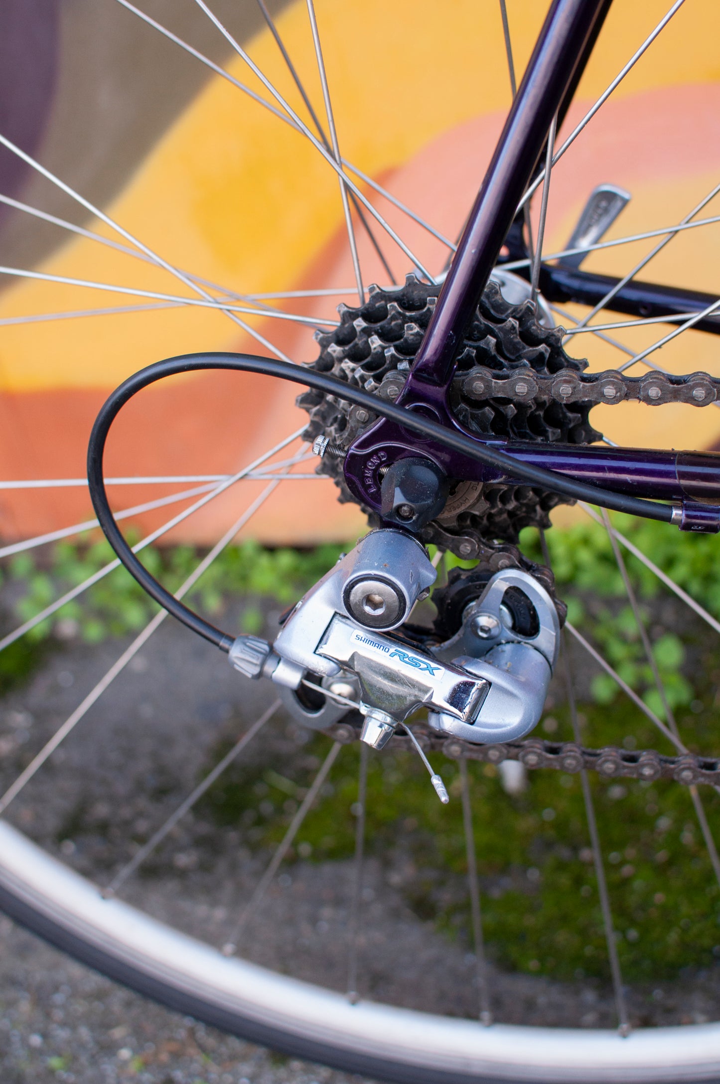 Lemond Reno Vintage Steel Road Bike, made in USA, Purple & Yellow, 58cm LG