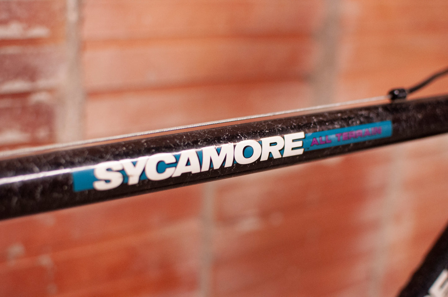 Mongoose Sycamore All Terrain Vintage rigid MTB, black, 56cm M/L