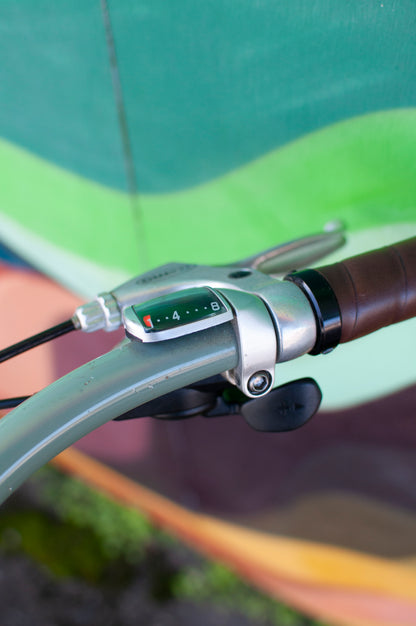 Raleigh Alley Way Dynamo-Equipped, Belt Drive Commuter Bike, Sage Green, Large